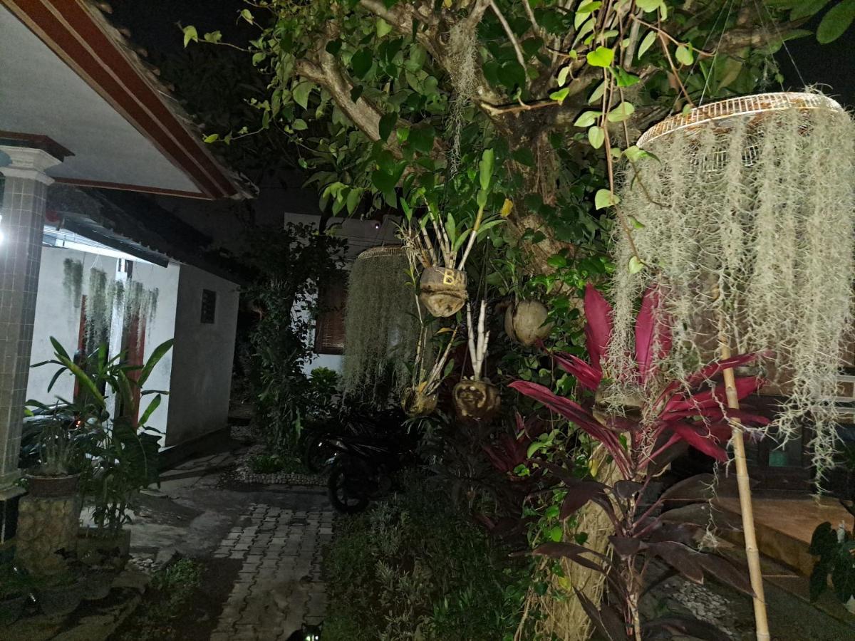 Ascarya Guest House Sanur  Exterior photo